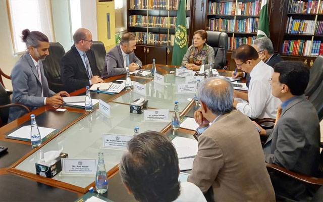 پاکستان آئی ایم ایف پروگرام پر عملدرآمد یقینی بنائے گا، وزیر خزانہ