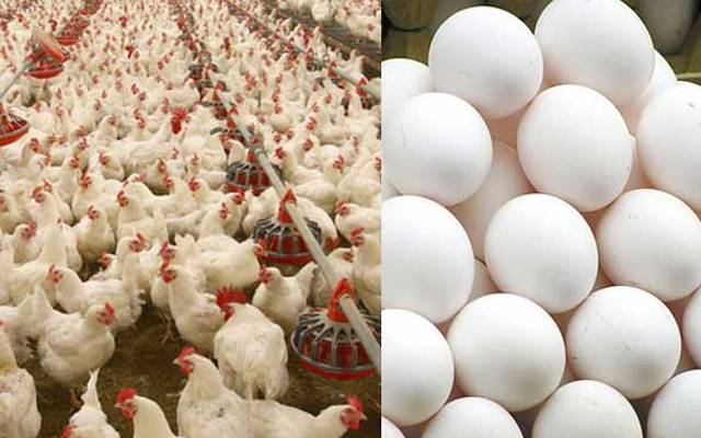  آج کے گوشت اور انڈوں کے ریٹس -جمعرات 07ستمبر،2023