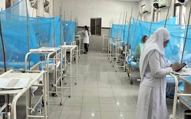  ڈینگی وائرس کے حملوں کی شدت برقرار، 59 مزید مریضوں کی تصدیق