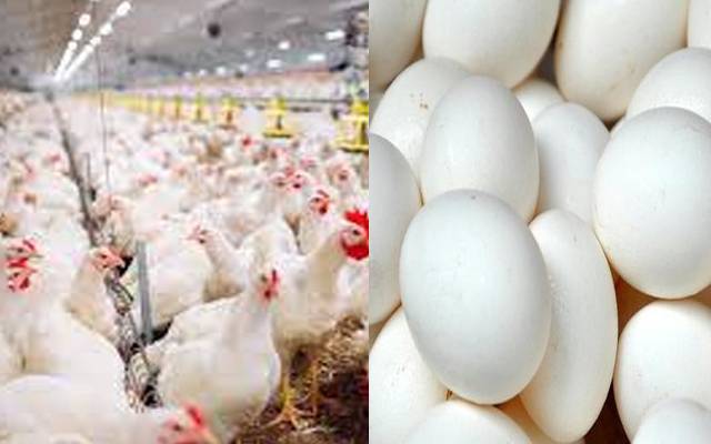  آج کے گوشت اور انڈوں کے ریٹس -جمعرات 14ستمبر،2023