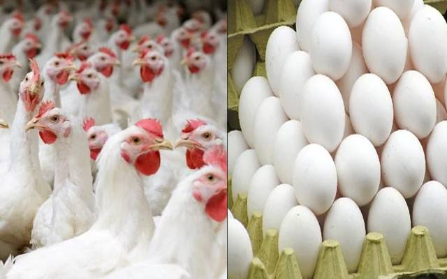  آج کے گوشت اور انڈوں کے ریٹس -جمعہ 15ستمبر،2023