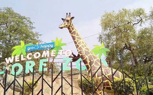 Lahore Zoo, City42