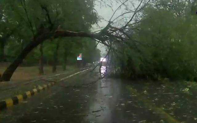 ٹریفک الرٹ ،آغاز گلزار انڈرپاس کی جانب کیمس درخت گر گیا 