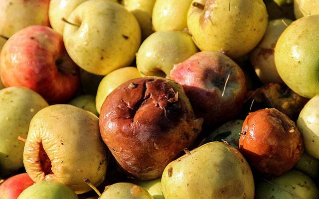 سیب 40روپے کلو، ایسی غلطی ہرگز مت کریں