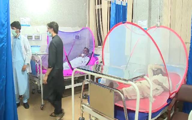 خطر ناک ڈینگی کے وار بڑھنے لگے، نئے مریضوں کی تصدیق