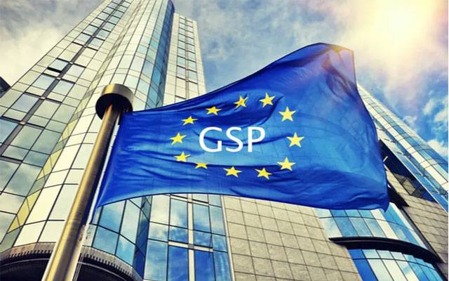 Gohar Ejaz, GSP Scheme of European Parliament, City42, Pakistan, Kazakhstan 