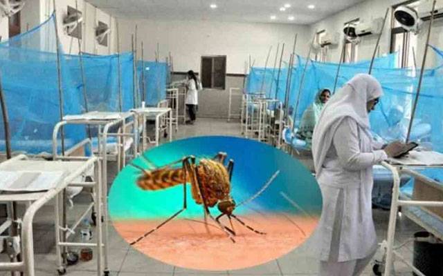 ڈینگی کے خطرناک وار جاری، مزید کیسز سامنے آگئے 