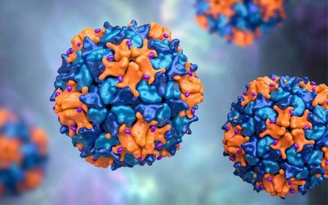 Polio virus in Lahore, Polio Virus in Hub, Polio Virus in Peshawar, City42, Afghanistan type of polio virus