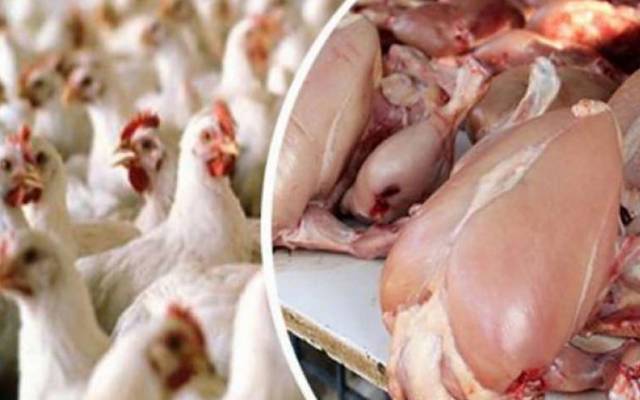 برائلرمرغی کے گوشت کی قیمت میں استحکام