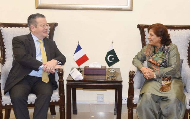 نگراں وزیر خزانہ سے فرانس کے سفیر کی ملاقات، دو طرفہ معاشی تعلقات پر تبادلہ خیال