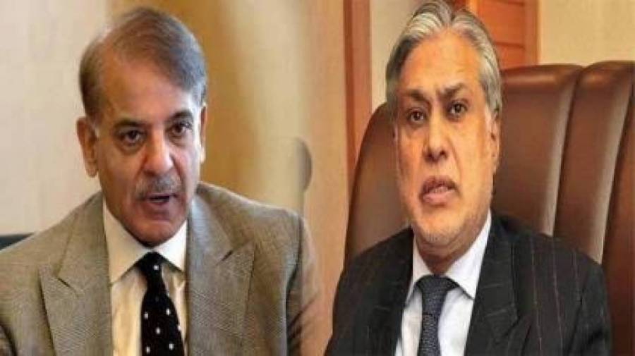 شہباز شریف نے اسحاق ڈار کو پارٹی الیکشن سیل کا چیئرمین مقرر کر دیا،نوٹیفکیشن جاری