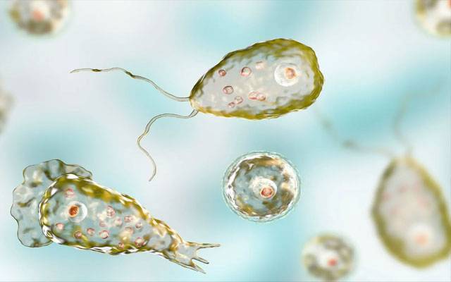 Naegleria, City42, Karachi District Central, another death due to naegleria, City42 