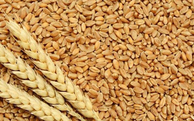گندم کی قیمت میں بڑی کمی متوقع
