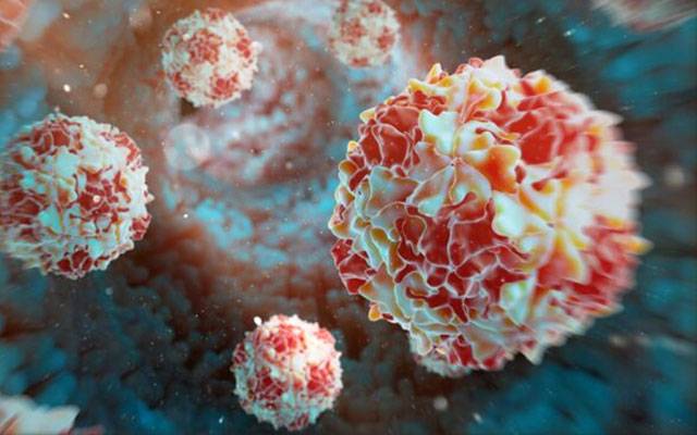 Polio Virus, Polio Wild Virus 1, PWVI, City42, Afghanistan strain of Polio Virus
