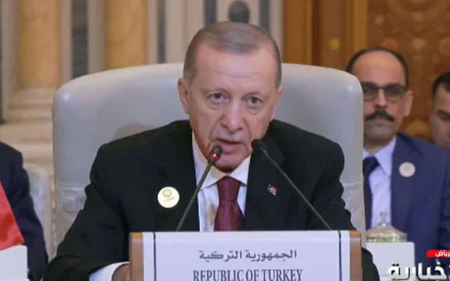 OIC, Riadh summit, City42, Turkey, President of Turkey