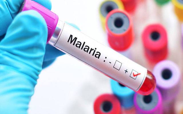 ملیریا کا وار تیزی سےجاری، 24گھنٹوں میں 2 ہزار 248 ملیریا کیسز رپورٹ