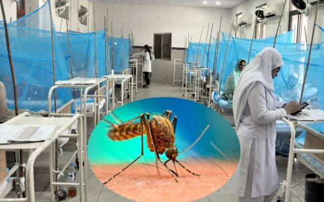 گزشتہ 24 گھنٹوں کے دوران ڈینگی بخار کے 96 نئے مریض رپورٹ