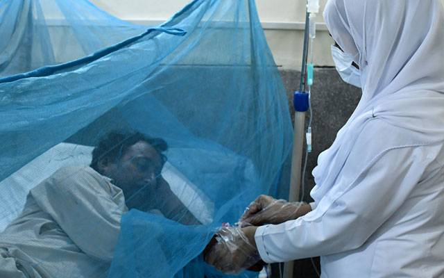 لاہور میں ڈینگی کے 76 نئے مریض سامنے آگئے