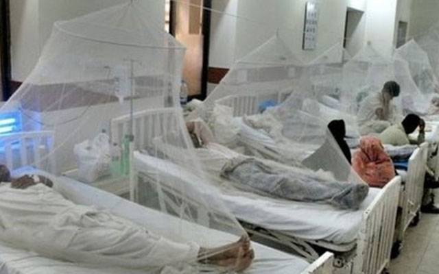  درجہ حرارت میں کمی کے باوجود ڈینگی کیسز میں اضافہ ،شہر میں 89 نئے مریضوں کی تصدیق