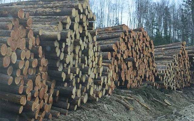لکڑی کی فی من قیمت میں 200 روپے اضافہ