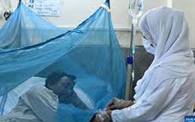 شہر میں مزید 107 افراد ڈینگی بخار میں مبتلا