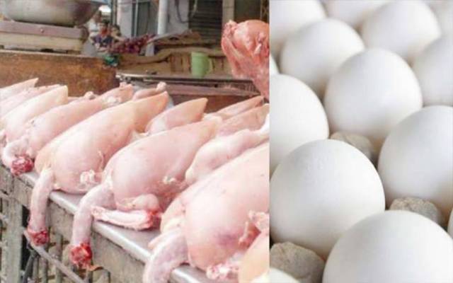  آج کے گوشت اور انڈوں کے ریٹس -جمعہ 24نومبر،2023 