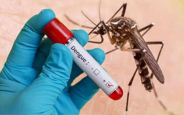 ڈینگی وائرس کے حملے جاری ،  24گھنٹوں کے دوران 85 کیسز رپورٹ