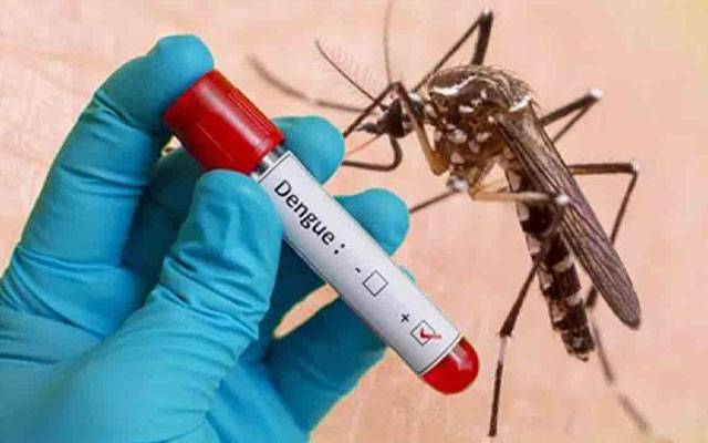  ڈینگی کے حملے جاری, مزید 75 مریض ہسپتالوں میں داخل