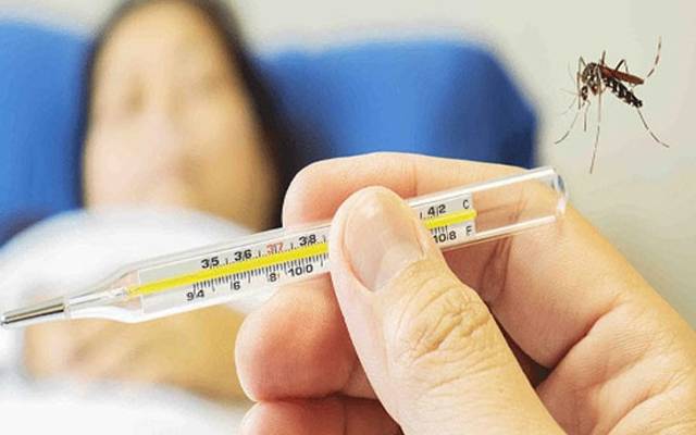  ڈینگی کا وار جاری، 24 گھنٹوں میں 57 کیس رپورٹ 
