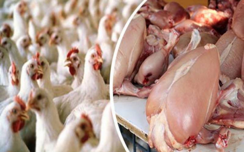برائلر کے شوقین افراد کیلئے اچھی خبر