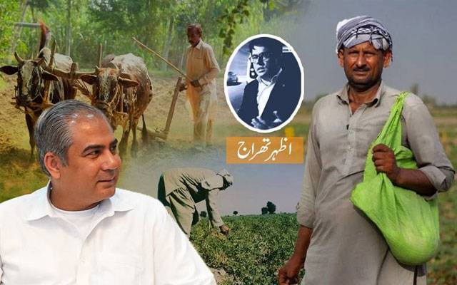 Fertilizer shortage in Punjab, DAP, Urea, Wheat sowing season, Wheat Crop, Cotton Crop, Cotton Bumper Crop, Punjab, CM Punjab, Mohsin Naqvi, City42, Black marketing of Fertilizer 