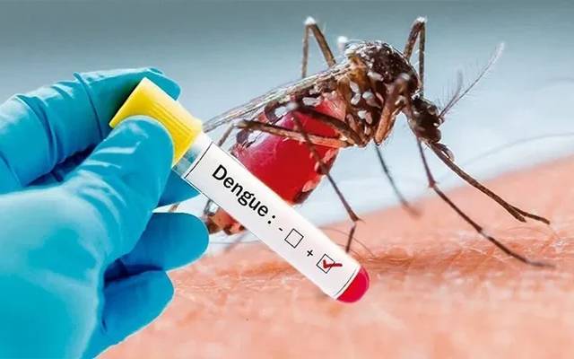 ڈینگی مچھر کے وار جاری، 52 نئے مریض رپورٹ