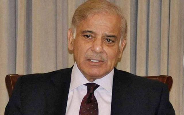  مسلم لیگ (ن) ایک گھر ہے جو پاکستان کی ترقی اور خوشحالی کی ضمانت ہے، شہباز شریف 