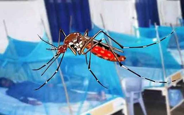 ڈینگی کے وار جاری، ایک اور قیمتی زندگی نگل گیا 
