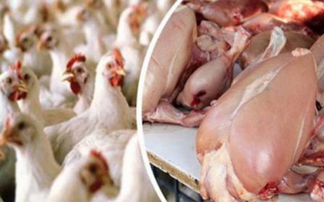 برائلرمرغی کےگوشت کی قیمت میں کمی