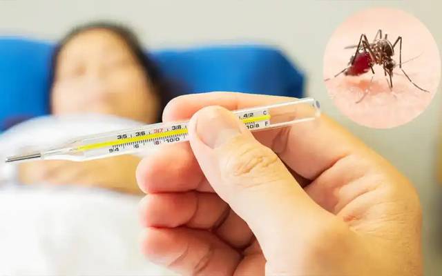 ڈینگی کے وار تھم گئے، کیسز  میں واضح کمی 