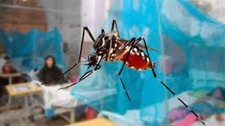 ڈینگی کے وار جاری ، مزید نئے کیسز رپورٹ