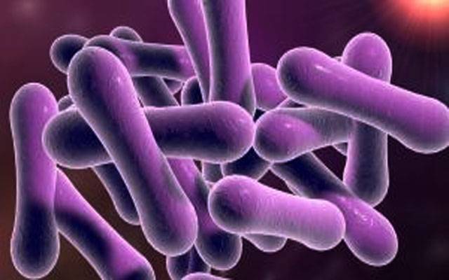 Corynebacterium diphtheriae, Sindh, City42, Qambar, Miroo Khan
