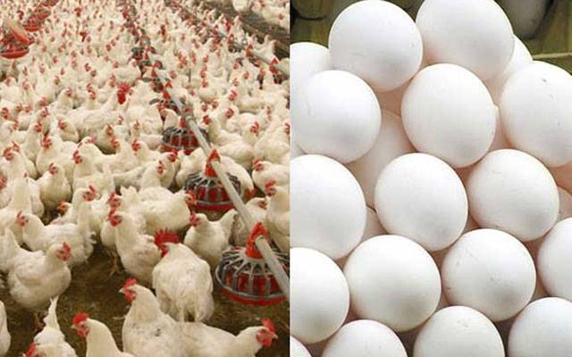 برائلر مرغی کے گوشت کی قیمت میں اضافہ،انڈے بھی مہنگے