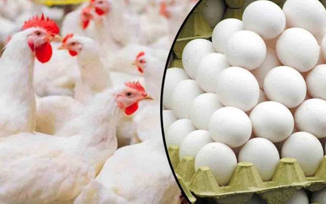 برائلر مرغی کے گوشت کی  قیمت میں اضافہ،انڈے بھی مہنگے