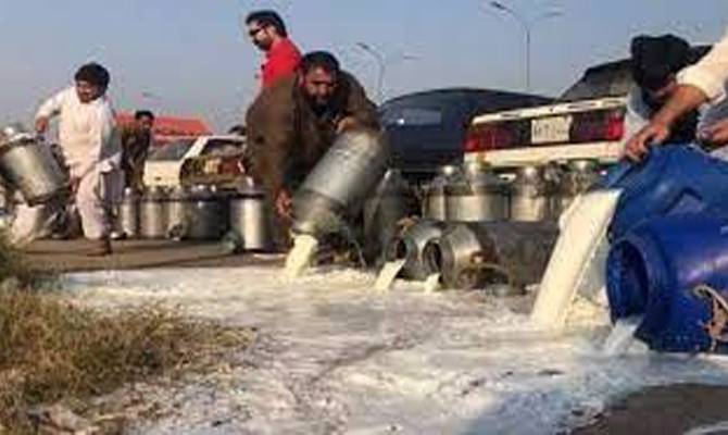 فوڈ اتھارٹی کا کریک ڈاؤن، 1900 لیٹر سے زائد دودھ تلف