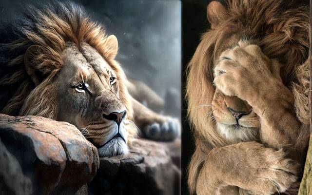 Lodhran, Narowal, City42, PMLN, 
