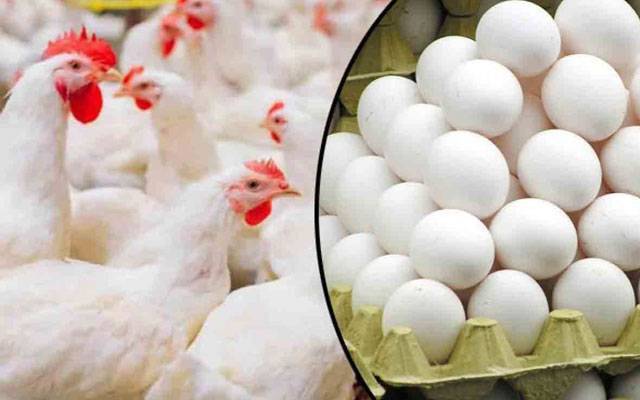 برائلر مرغی کے گوشت کی قیمت میں اضافہ،انڈے بھی مہنگے