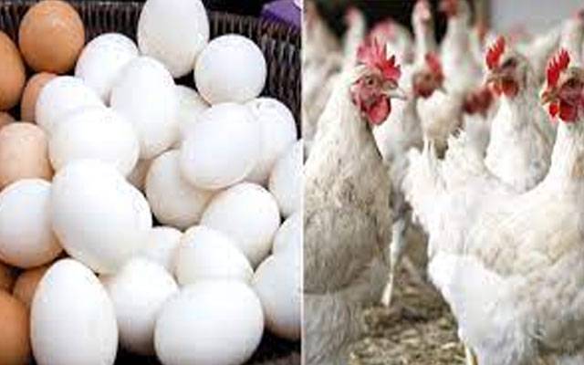 برائلر مرغی کی قیمت میں مزید اضافہ،انڈے بھی مہنگے