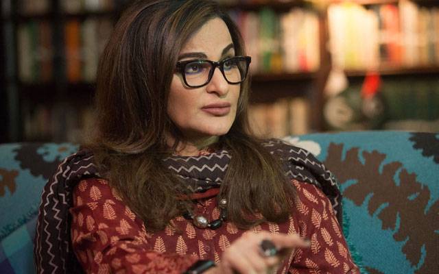بھرپور انتخابی مہم،بلاول اور آصفہ نے سینئر سیاستدانوں کو پیچھے چھوڑ دیا: شیری رحمٰن