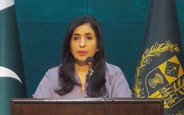Mumtaz Zahra Baloch, Sistan Sarawan terrorist attack, pakistanis killed in sarawan, City42, Pakistan's Foreign Office 