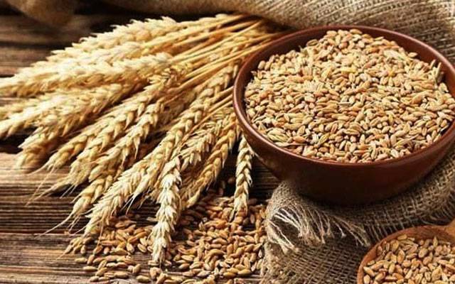 Wheat Import stoped, City42, Food Security, Pakistan's wheat production, City42 