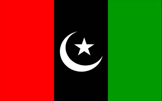 Pakistan Peoples PArty Central Executive Committee Meeting, CEC of PPP, Bilawal Bhutto Zardari, ASif Ali Zardari , New Government in Islamabad, Coalition government, City42 