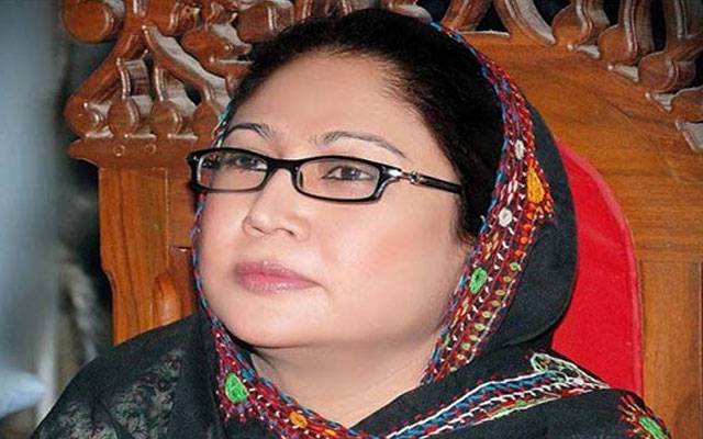 فریال تالپور کو وزیراعلیٰ سندھ بنانے کی تجویز  