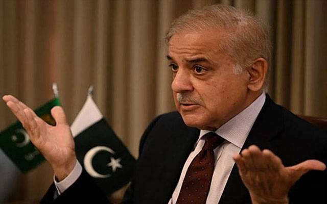  آزاد اراکین اکثریت دکھائیں تو ہم اپوزیشن میں بیٹھیں گے: شہباز شریف